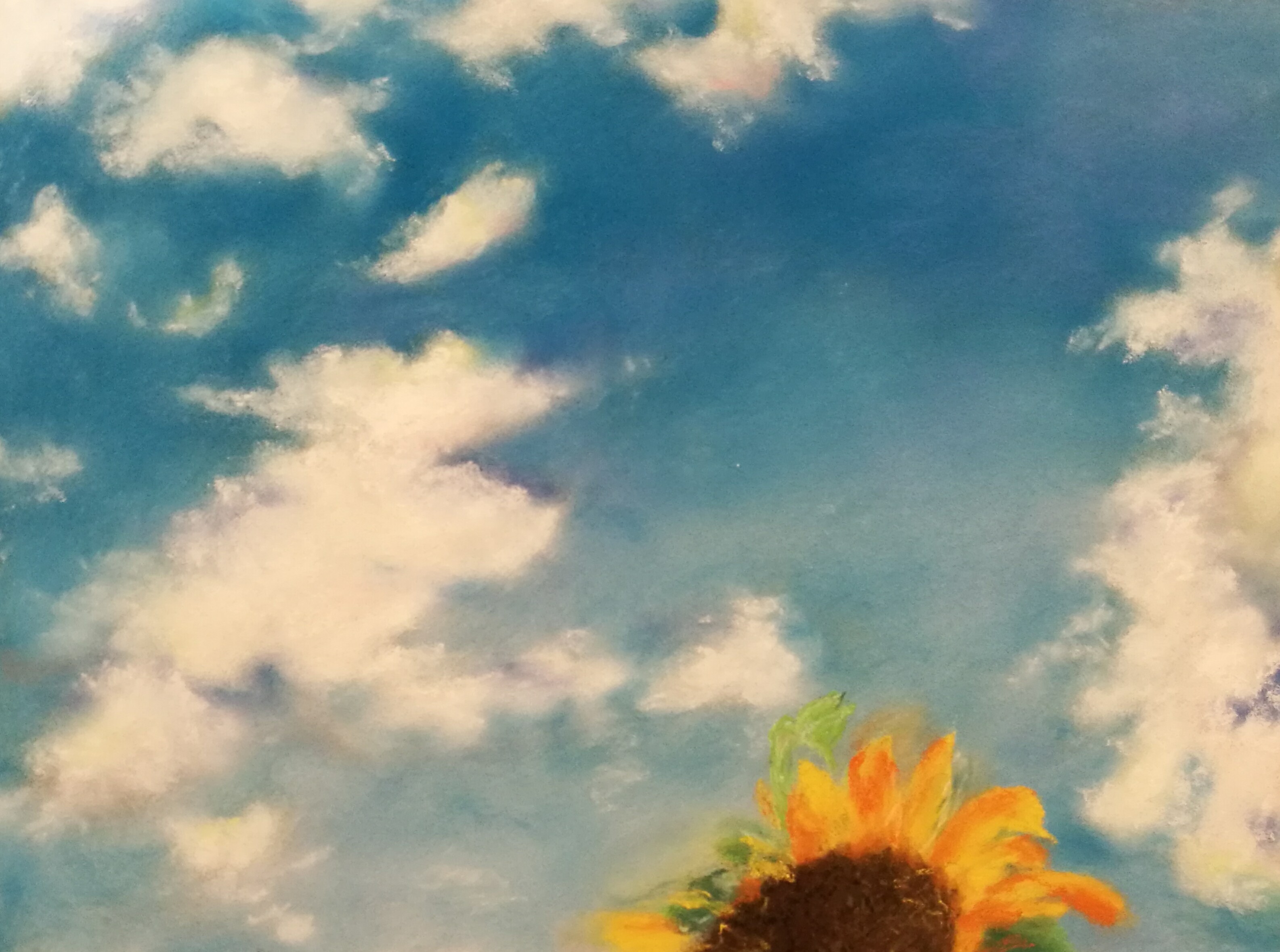 Ciel Tournesol